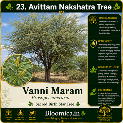 27 Nakshatra Trees Combo Pack | Complete Birth Star Sacred Live Plants Collection
