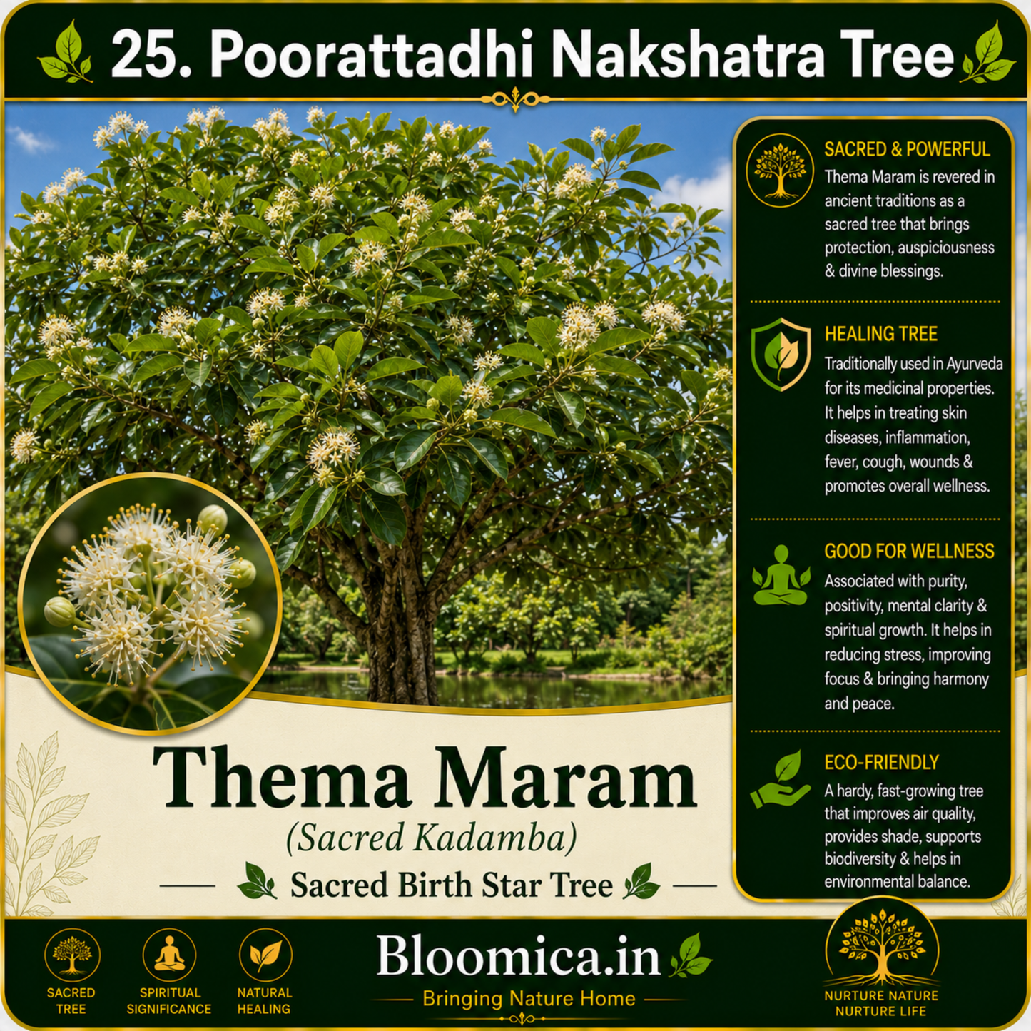 27 Nakshatra Trees Combo Pack | Complete Birth Star Sacred Live Plants Collection