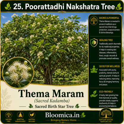 27 Nakshatra Trees Combo Pack | Complete Birth Star Sacred Live Plants Collection