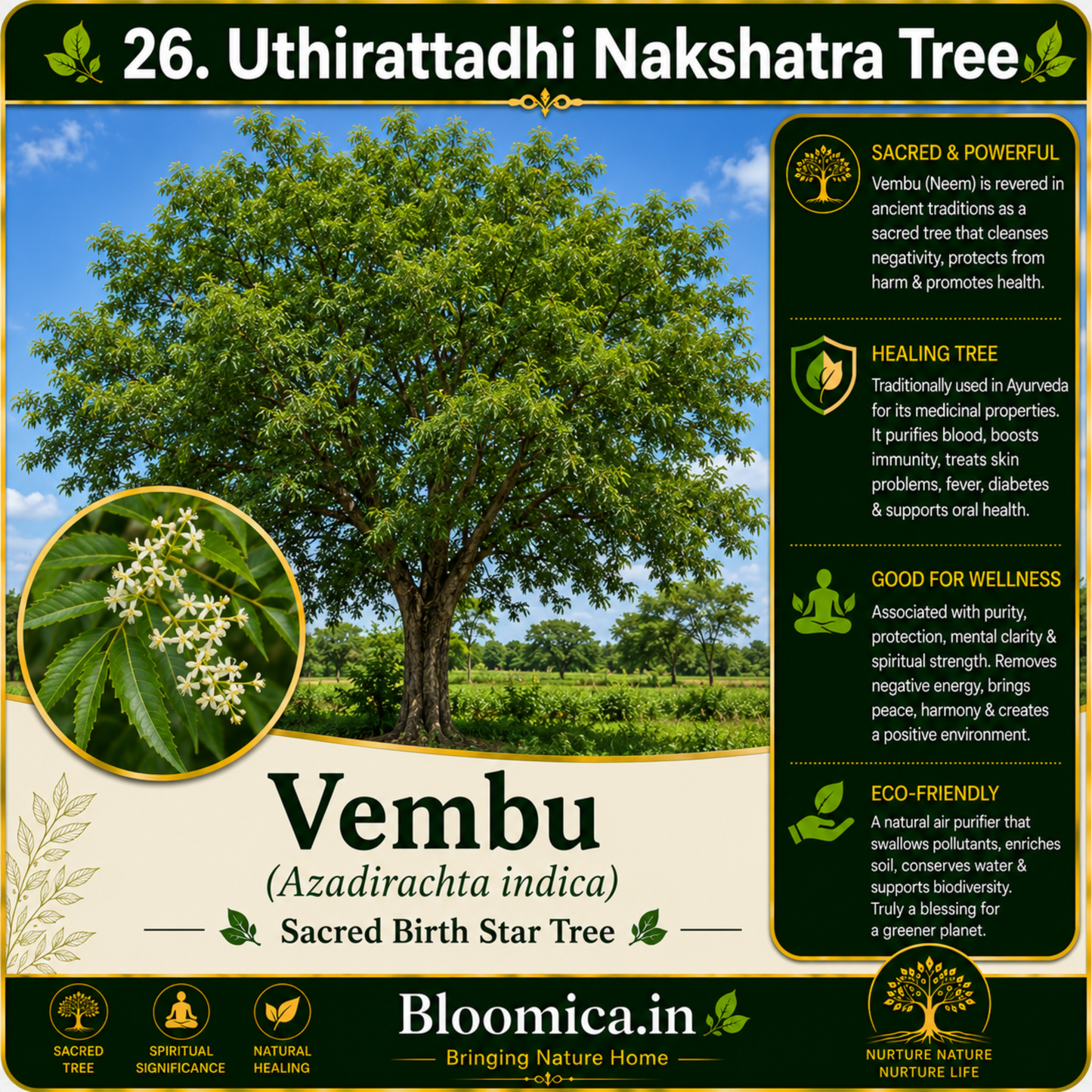 27 Nakshatra Trees Combo Pack | Complete Birth Star Sacred Live Plants Collection