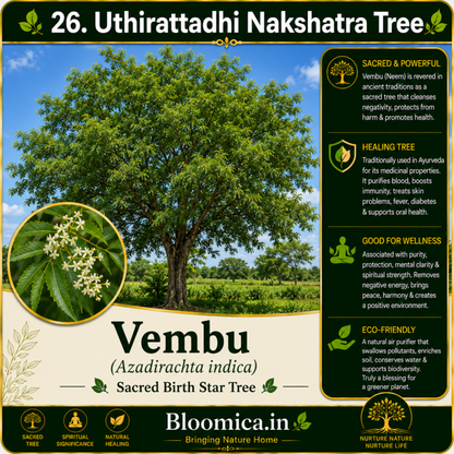 27 Nakshatra Trees Combo Pack | Complete Birth Star Sacred Live Plants Collection