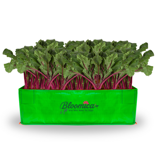 36x24x12 Inches (3x2x1 Ft) - 260 GSM HDPE Rectangular Grow Bag