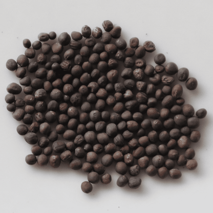 Organic Knol Khol Seeds - Open Pollinated