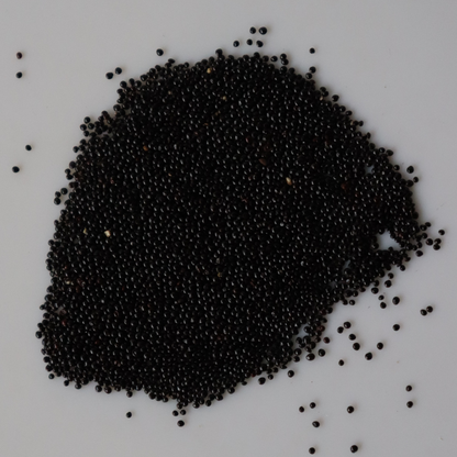 Organic Green Amaranthus Seeds - Open Pollinated