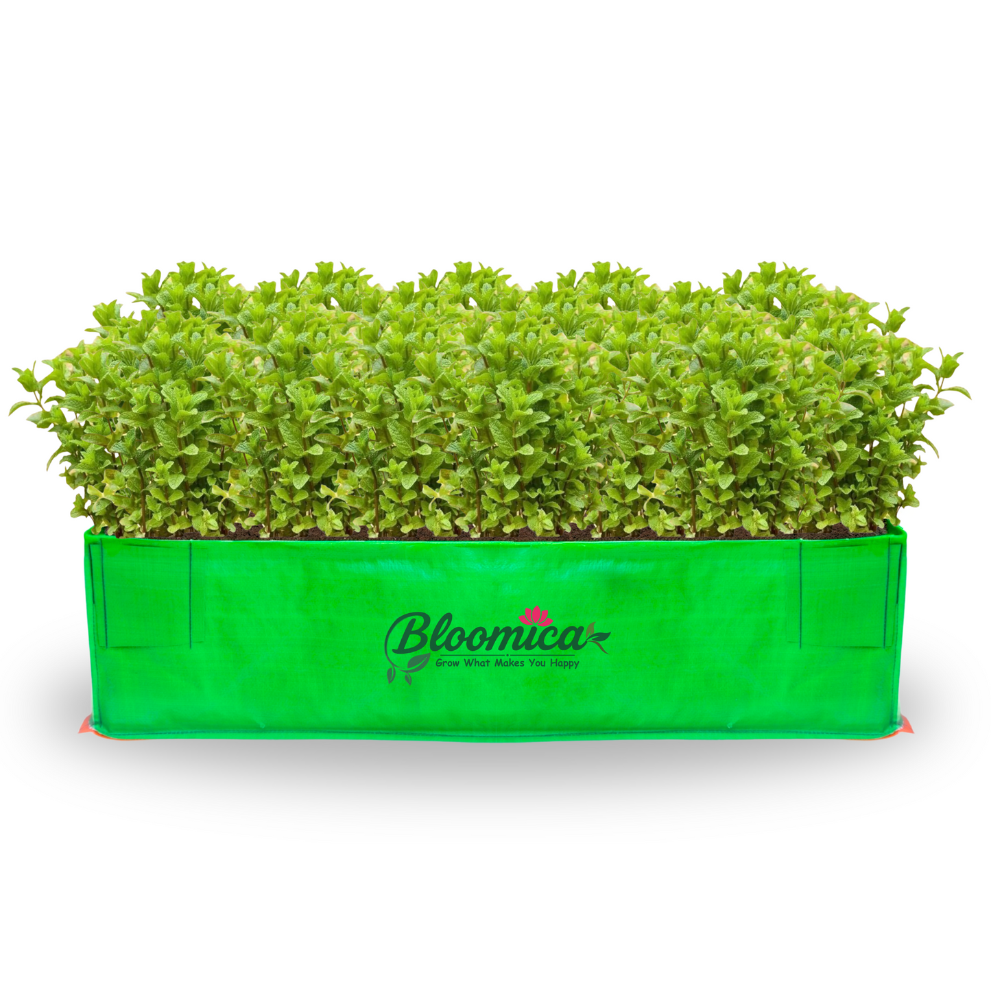 48x24x12 Inches (4x2x1 Ft) - 260 GSM HDPE Rectangular Grow Bag