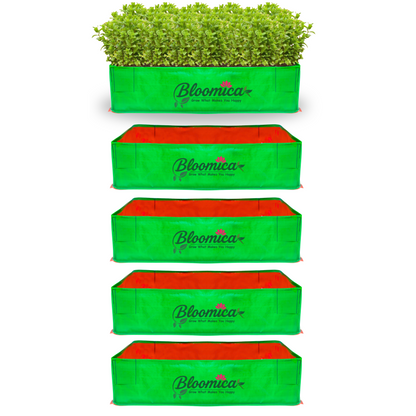 48x24x12 Inches (4x2x1 Ft) - 260 GSM HDPE Rectangular Grow Bag