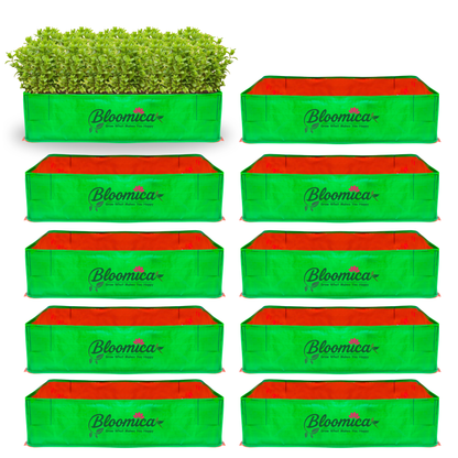 48x24x12 Inches (4x2x1 Ft) - 260 GSM HDPE Rectangular Grow Bag