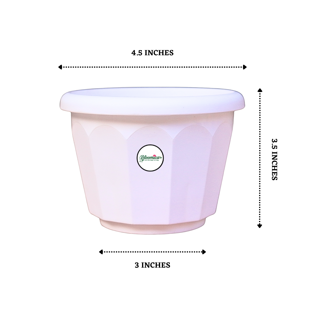 5 Inch Lotus Planter - White Colour