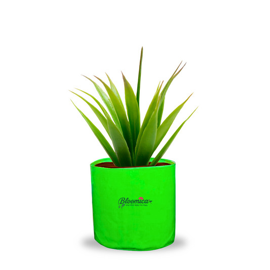 6x6 Inches (½x½ Ft) - 260 GSM HDPE Round Grow Bag