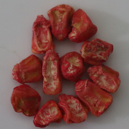 Organic Sweet Corn Seeds - Open Pollinated
