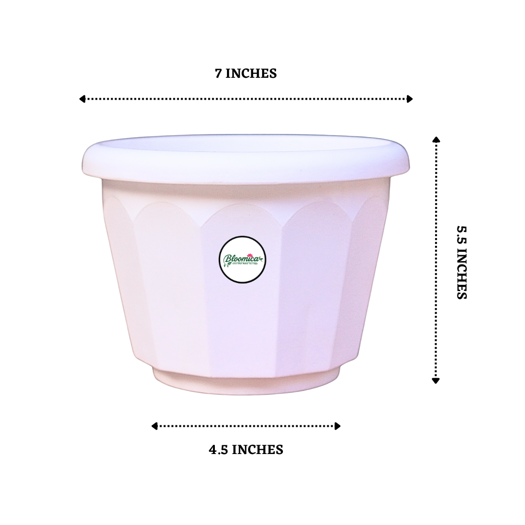 8 Inch Lotus Planter - White Colour
