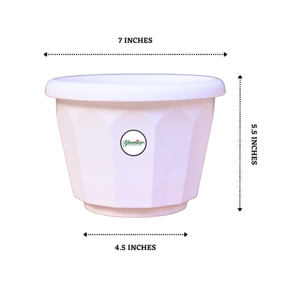 8 Inch Lotus Planter - White Colour