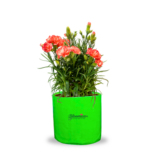9x9 Inches (¾x¾ Ft) - 260 GSM HDPE Round Grow Bag