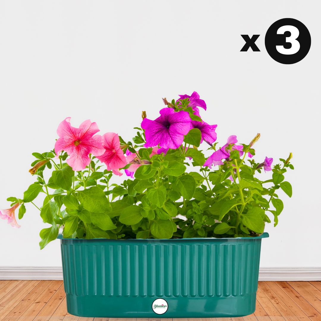Balcony Railing Planter - Green Colour
