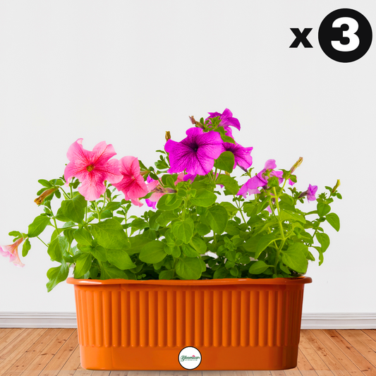 Balcony Railing Planter - Terracotta Colour