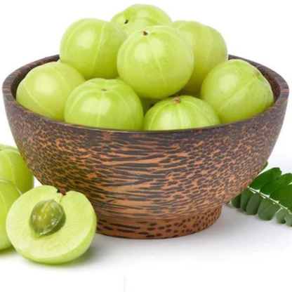 Bharani Nakshatra Tree – Nelli Maram (Indian Gooseberry) Live Plant