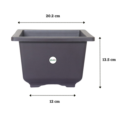 Compact Square Bonsai Planter - Brown Colour
