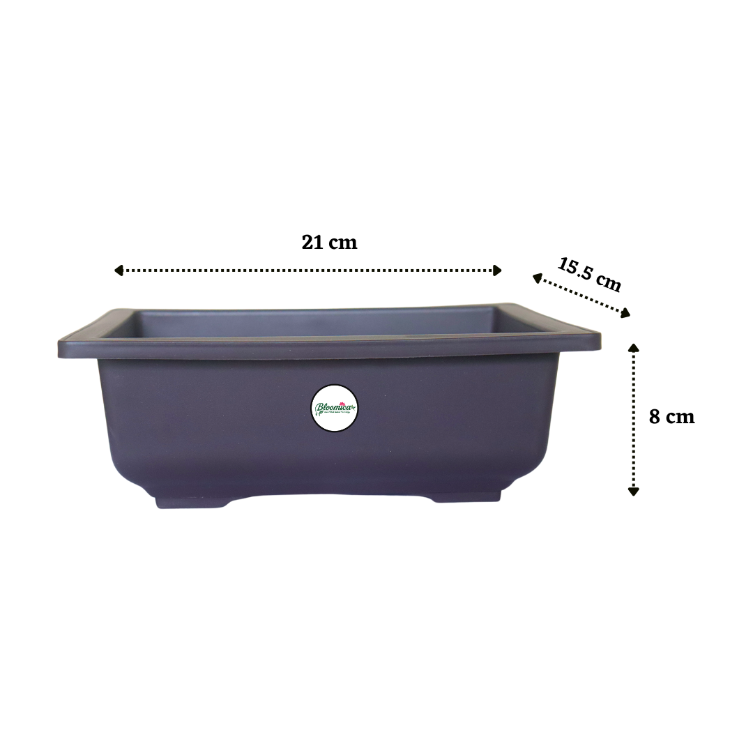 Compact Rectangular Bonsai Planter - Brown Colour