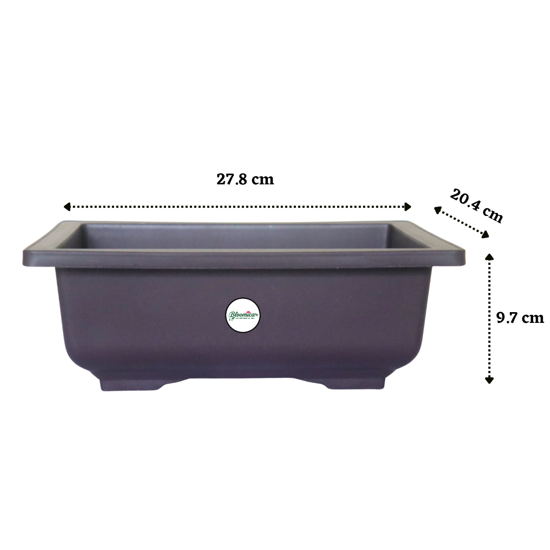 Compact Rectangular Bonsai Planter - Brown Colour