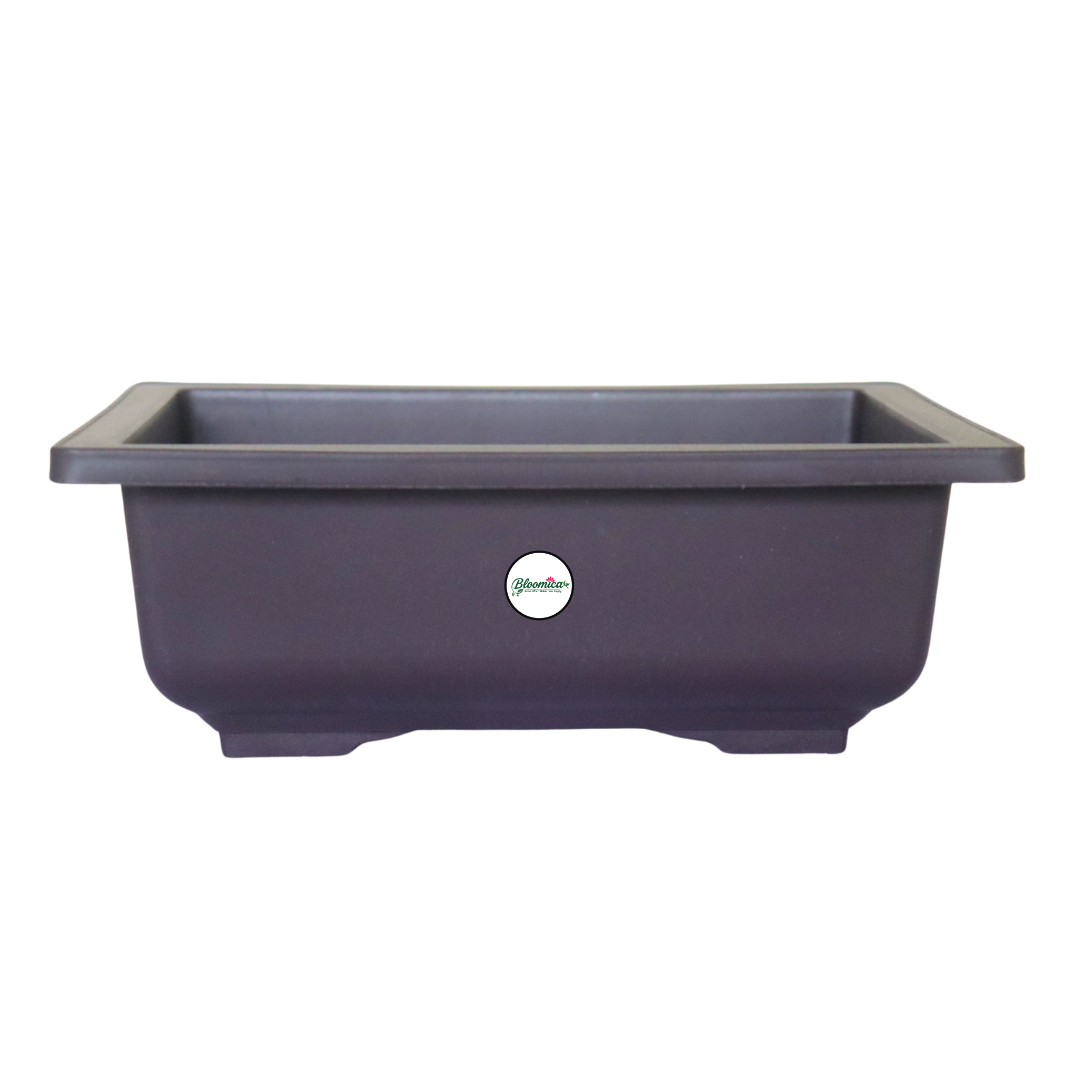 Compact Rectangular Bonsai Planter - Brown Colour