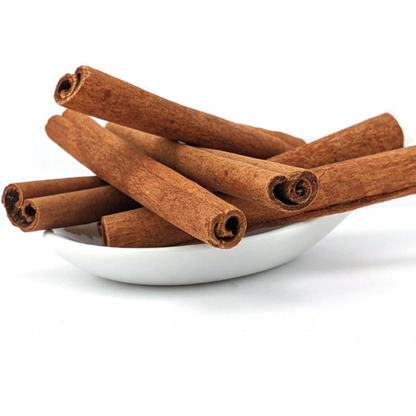 Cinnamon / Karuvapattaa (Cinnamomum verum) Spice Plant