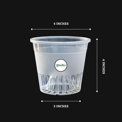 Clear Orchid Pot With Dome - 4 Inches