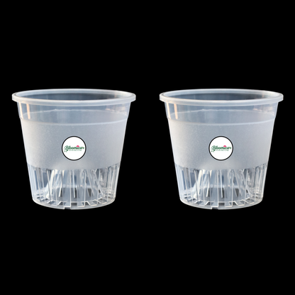 Clear Orchid Pot With Dome - 4 Inches