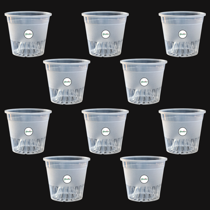 Clear Orchid Pot With Dome - 4 Inches