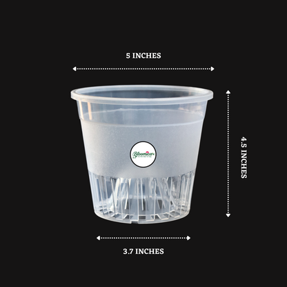 Clear Orchid Pot With Dome - 5 Inches