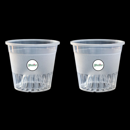 Clear Orchid Pot With Dome - 5 Inches