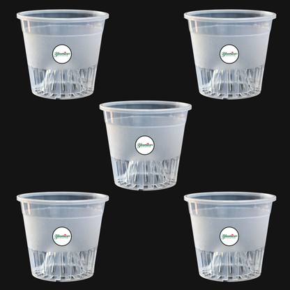 Clear Orchid Pot With Dome - 5 Inches