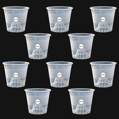 Clear Orchid Pot With Dome - 5 Inches