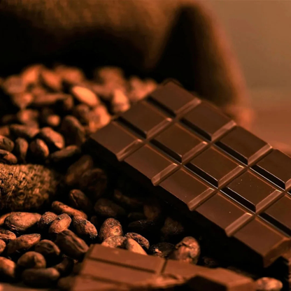 Cocoa (Chocolate Tree) Live Plant