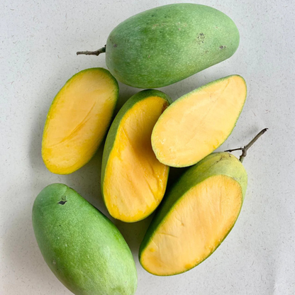 Dasheri Mango Grafted Live Plant