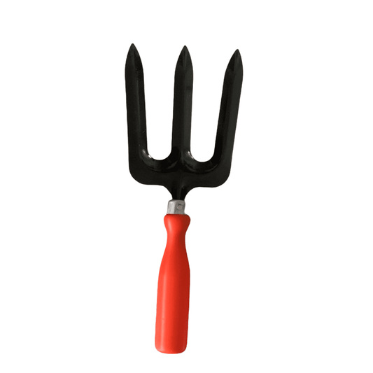 Fork with Plastic Handle - Essential Gardening Tool
