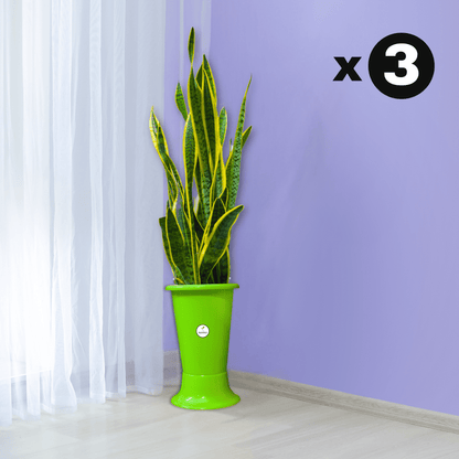 Galaxy Indoor Plastic Pot - Green Colour