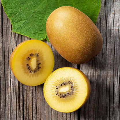 Golden Kiwi Live Plant (Yellow Kiwi) - Rare Exotic Fruit Plant
