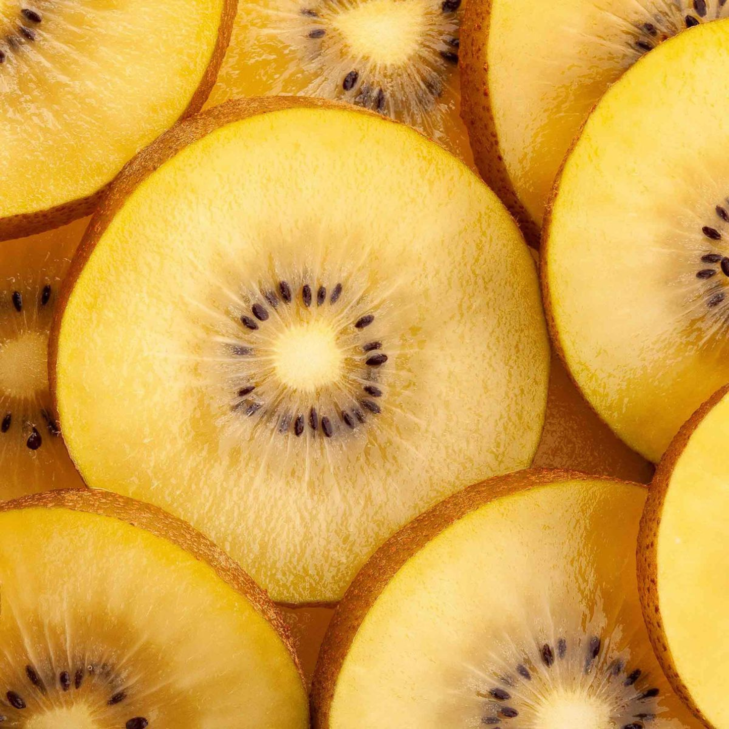 Golden Kiwi Live Plant (Yellow Kiwi) - Rare Exotic Fruit Plant