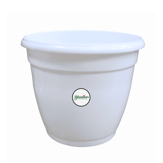 H - POT for Indoor Plants