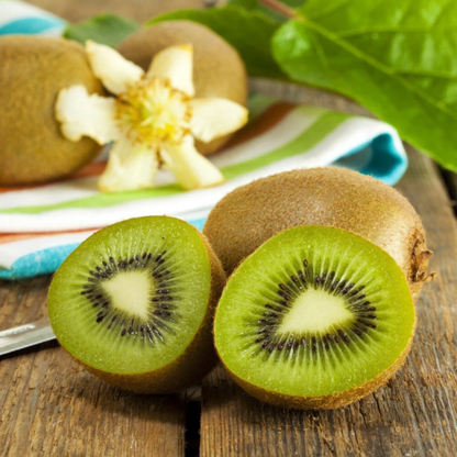 Hardy Kiwi Live Plant (Baby Kiwi) - Rare Exotic Fruit Plant