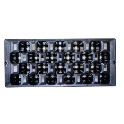 Seedling Tray - Indefinitely Reusable - (22 Cavities)