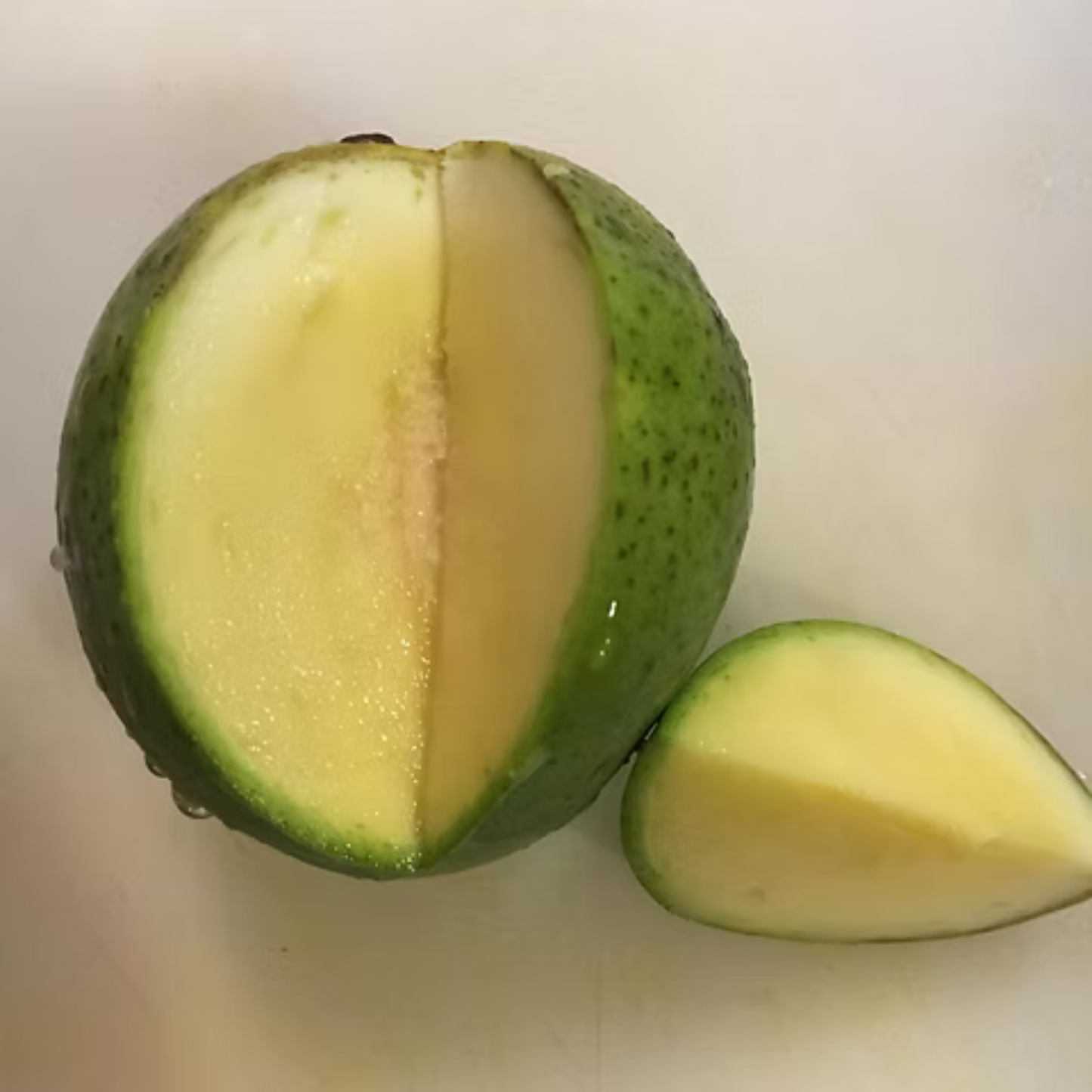 Jahangir Mango Grafted Live Plant