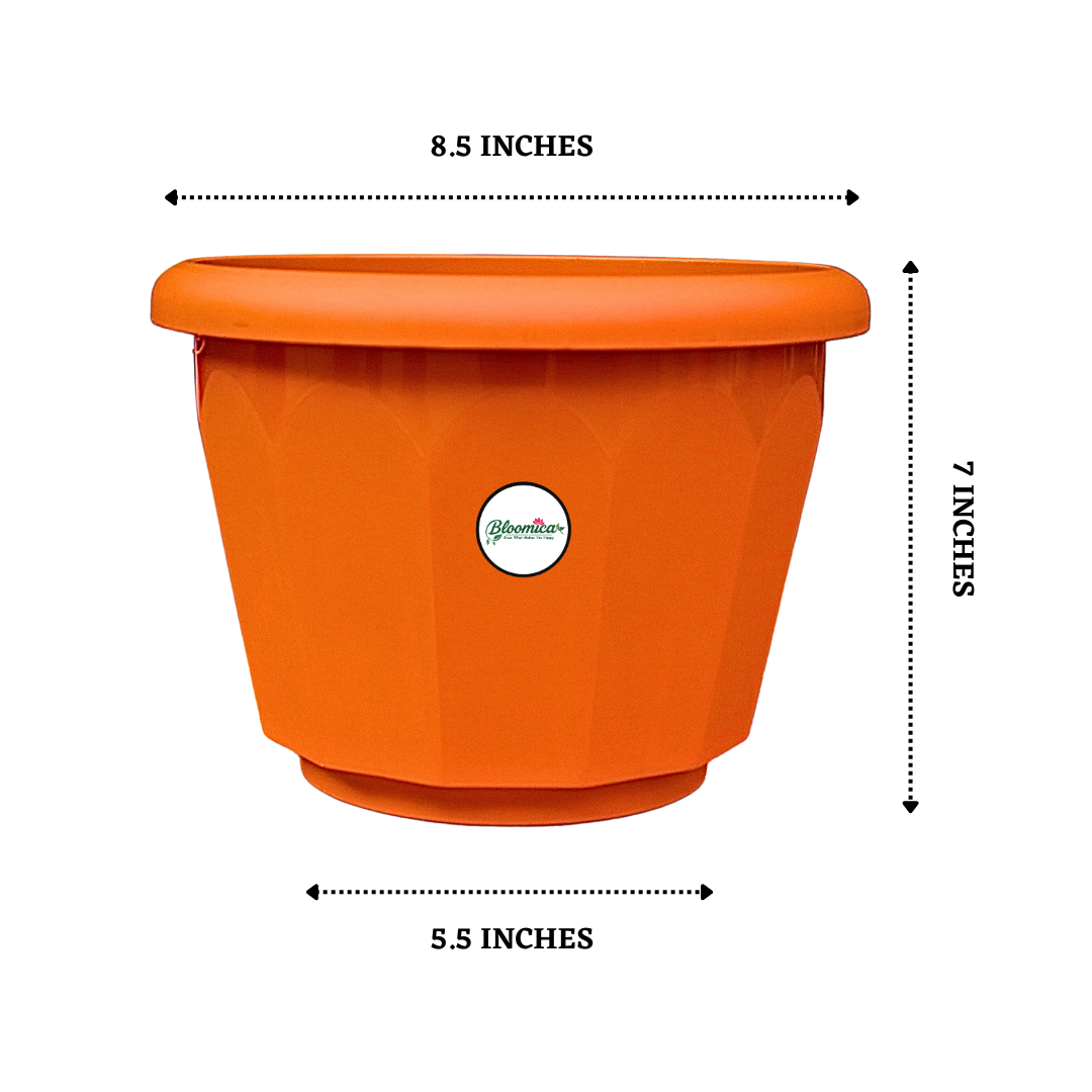 10 Inch Lotus Planter - Terracotta Colour