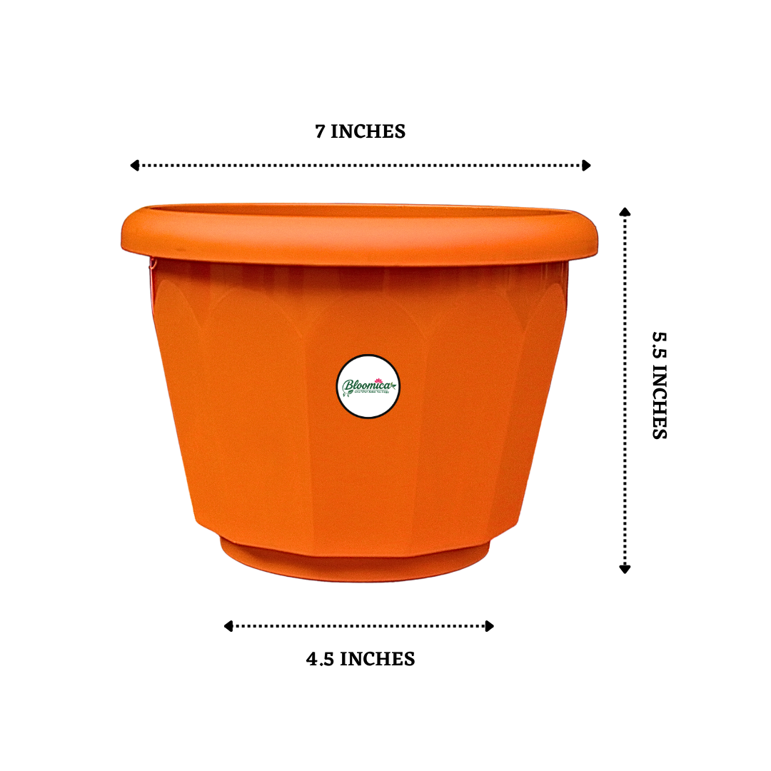8 Inch Lotus Planter - Terracotta Colour