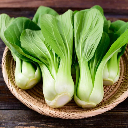 Organic Pak Choi (पाक चोई के बीज) Seeds - Open Pollinated