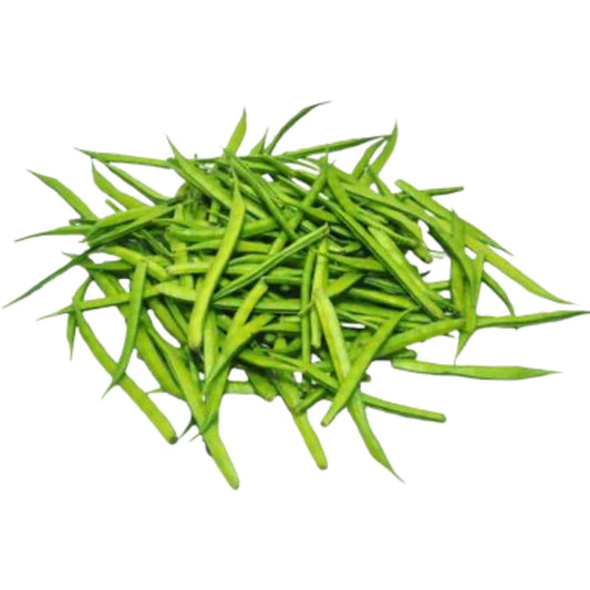 Organic Cluster Bean Seeds - Open Pollinated