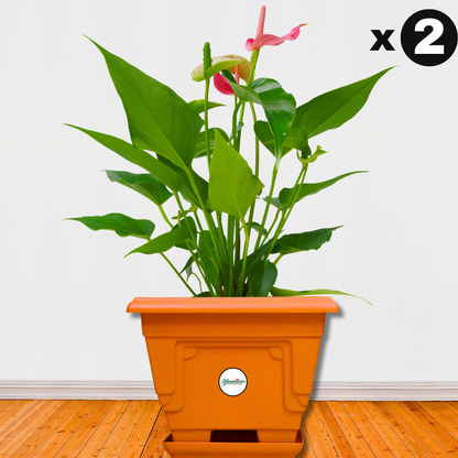Prakriti Planter | Stylish Indian Terrace Garden 14 Inch Pot - Terracotta Colour