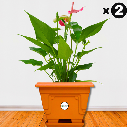 Prakriti Planter | Stylish Indian Terrace Garden 14 Inch Pot - Terracotta Colour