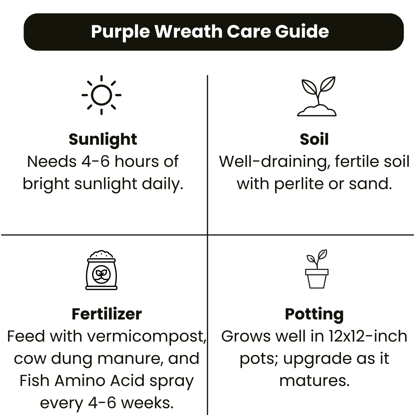 Purple Wreath, Sandpaper Vine (Petrea volubilis) Layered Live Plant