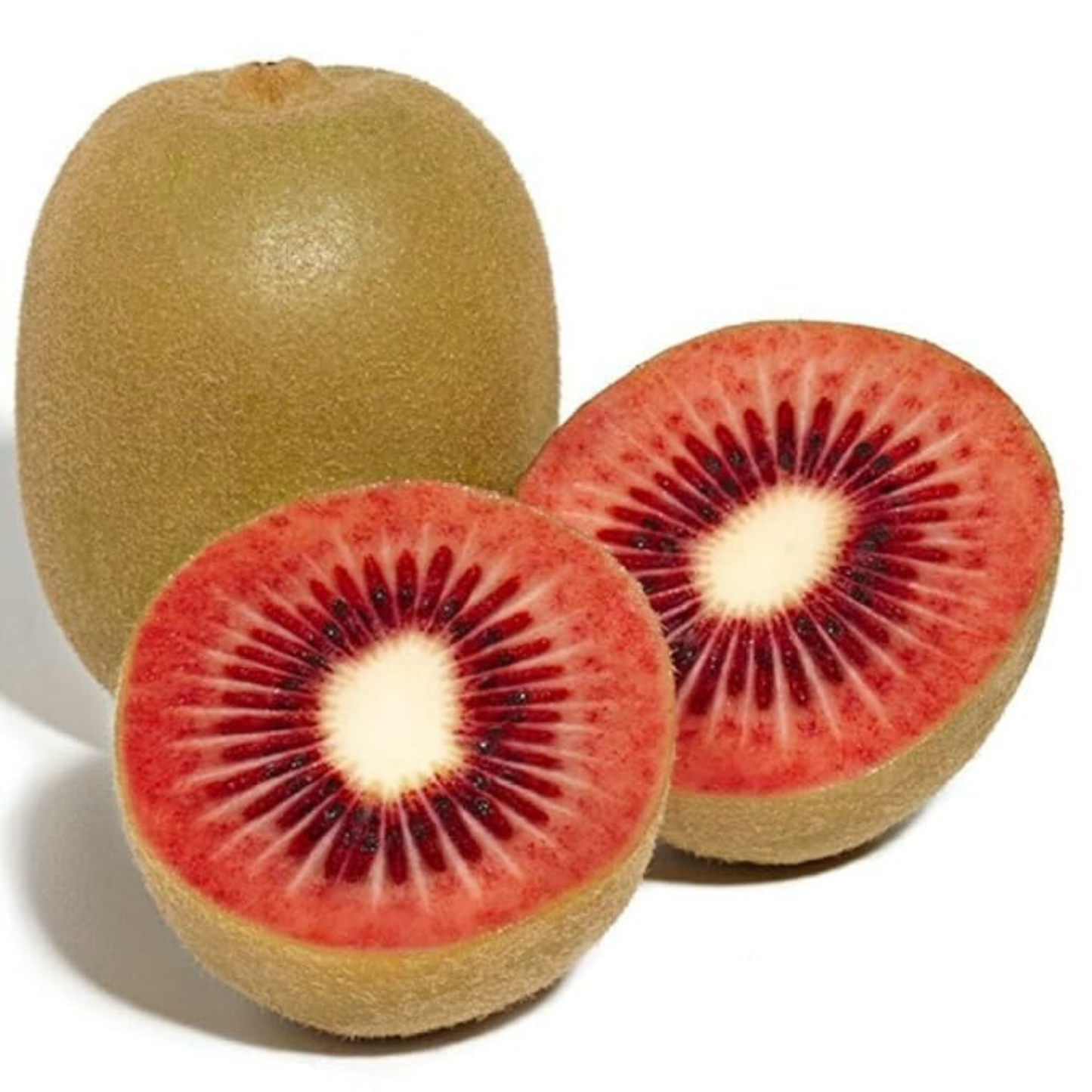 Red Kiwi Grafted Live Plant – Rare Exotic Fruit Plant